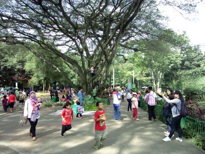 Metro_TV's tweet photo. Mengandalkan Kamera Smartphone Saat Liburan http://t.co/3Xx0dMoKsq @HuaweideviceID #MTVNAD http://t.co/qmFHTtPEI3