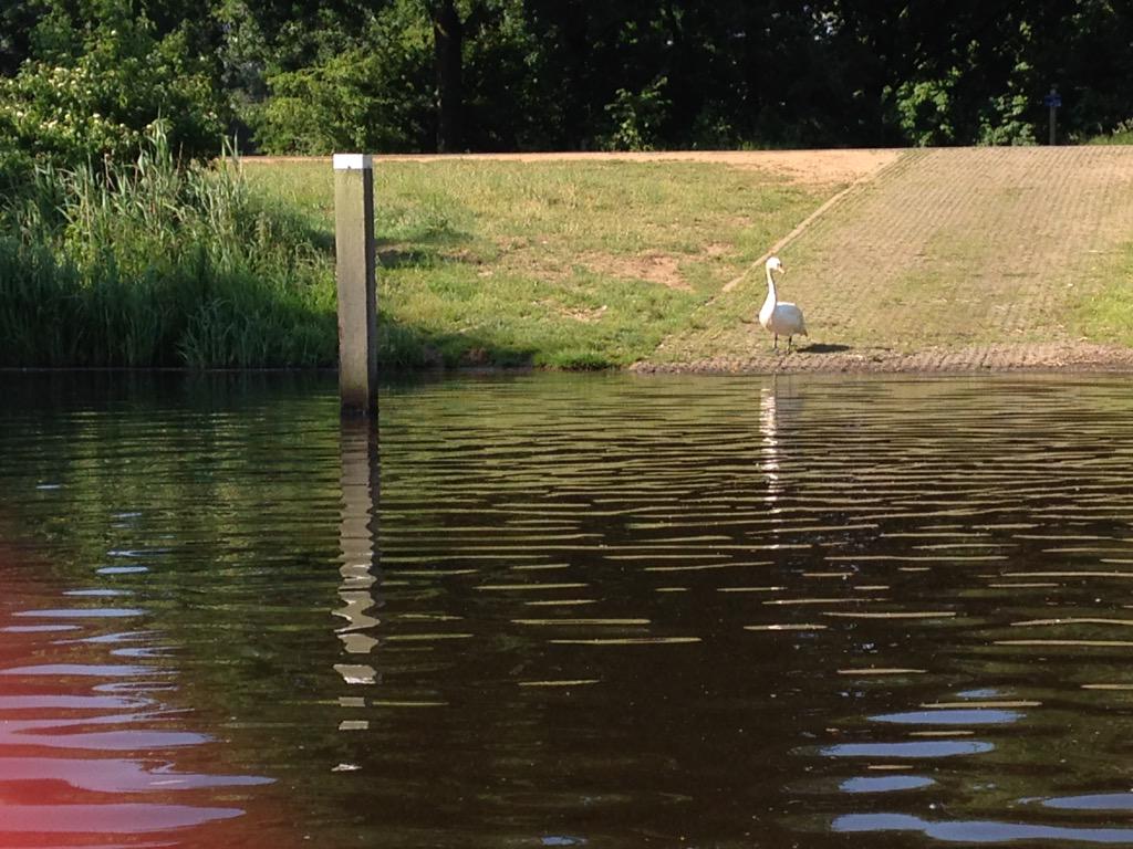 Groep 7B op bootexcursie!