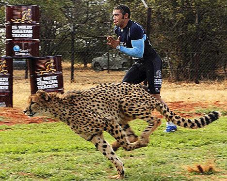   Eat_Sleep_Rugby:  - Happy Birthday Bryan Habana. Have a great day. Remember when you raced a Che 