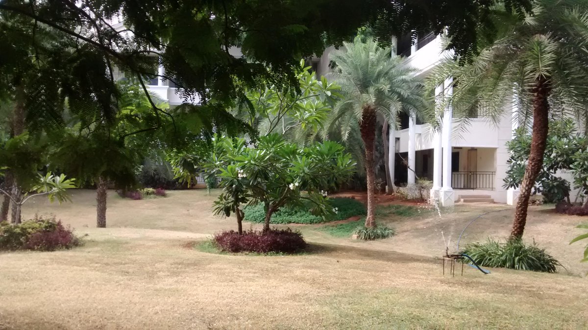 agni_act's tweet photo. If you have a garden and a library, you have everything you need.
at @agni_act http://t.co/b9glOghWUw