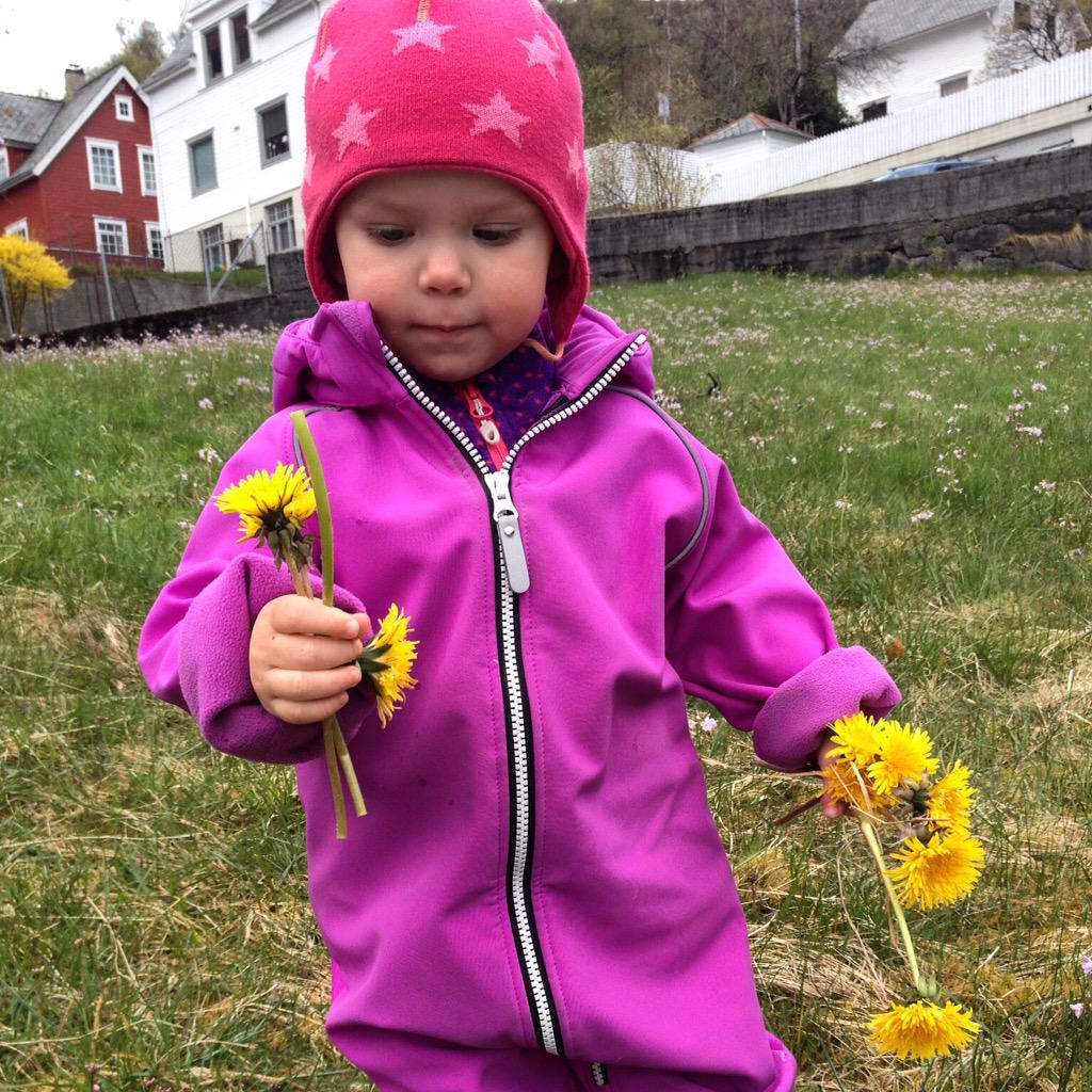 Bjopa's tweet photo. 2 år i dag. Prinsesse Sanne #mittalt #bursdagsjente http://t.co/vTTvQVv5RB