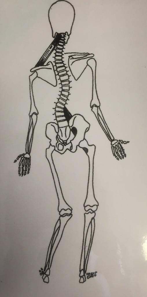 Kidsbacks4thefuture tweet media