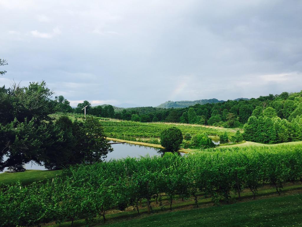 CortWoody's tweet photo. Dry or sweet? Taste the complex wines of Crane Creek Vineyards in #YoungHarris. #GeorgiaFAM2015 @CraneCreekWine http://t.co/ZKpbuucnvC