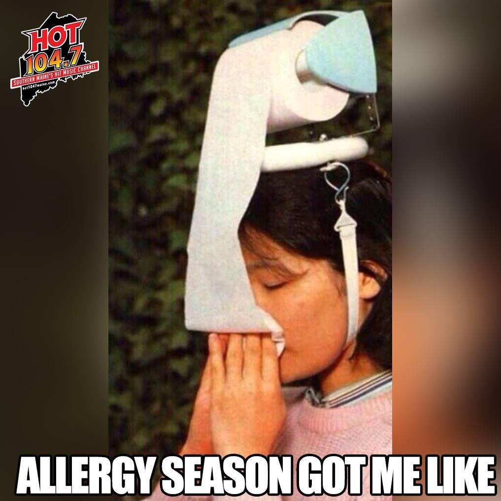 Marissa on Twitter: "Story of my springtime life. #allergies #spring #