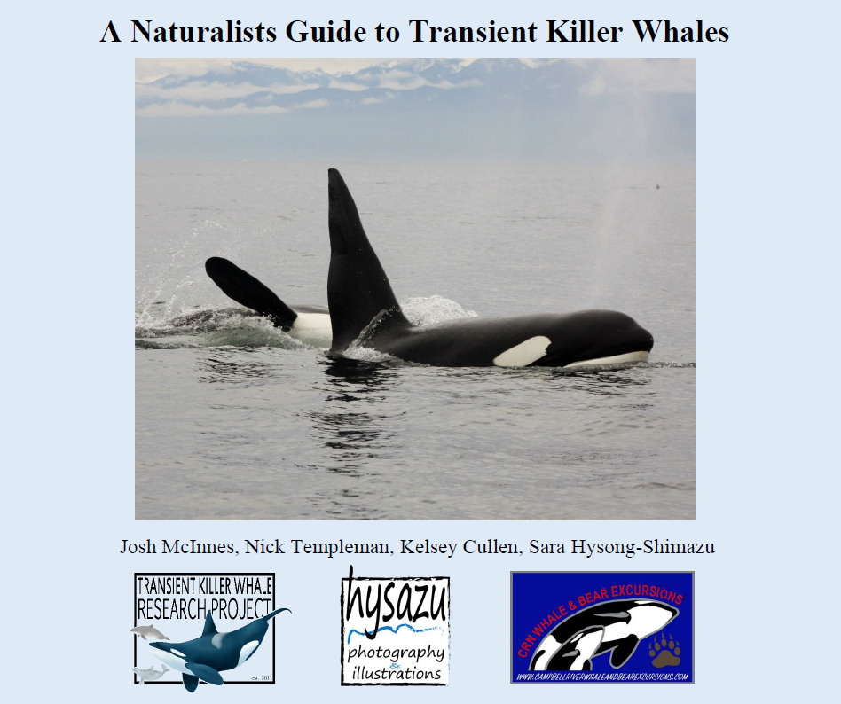 TKWResearch's tweet photo. The team has put together a packet on transients, available as a PDF download for $20. Message us for details! http://t.co/ONwj6Rczcy