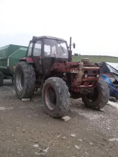 Damo810's tweet image. @davidwmcquade @grassmac @tommycahill2 @Reggie_Ire Wasn't started in 2 months until yesterday #FirstTurn