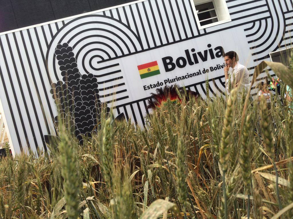 Oggi è la festa nazionale della <a href="/BolExpoMil2015/">BoliviaExpoMilan2015</a> e al Cluster dei Cereali e Tuberi si festeggia!