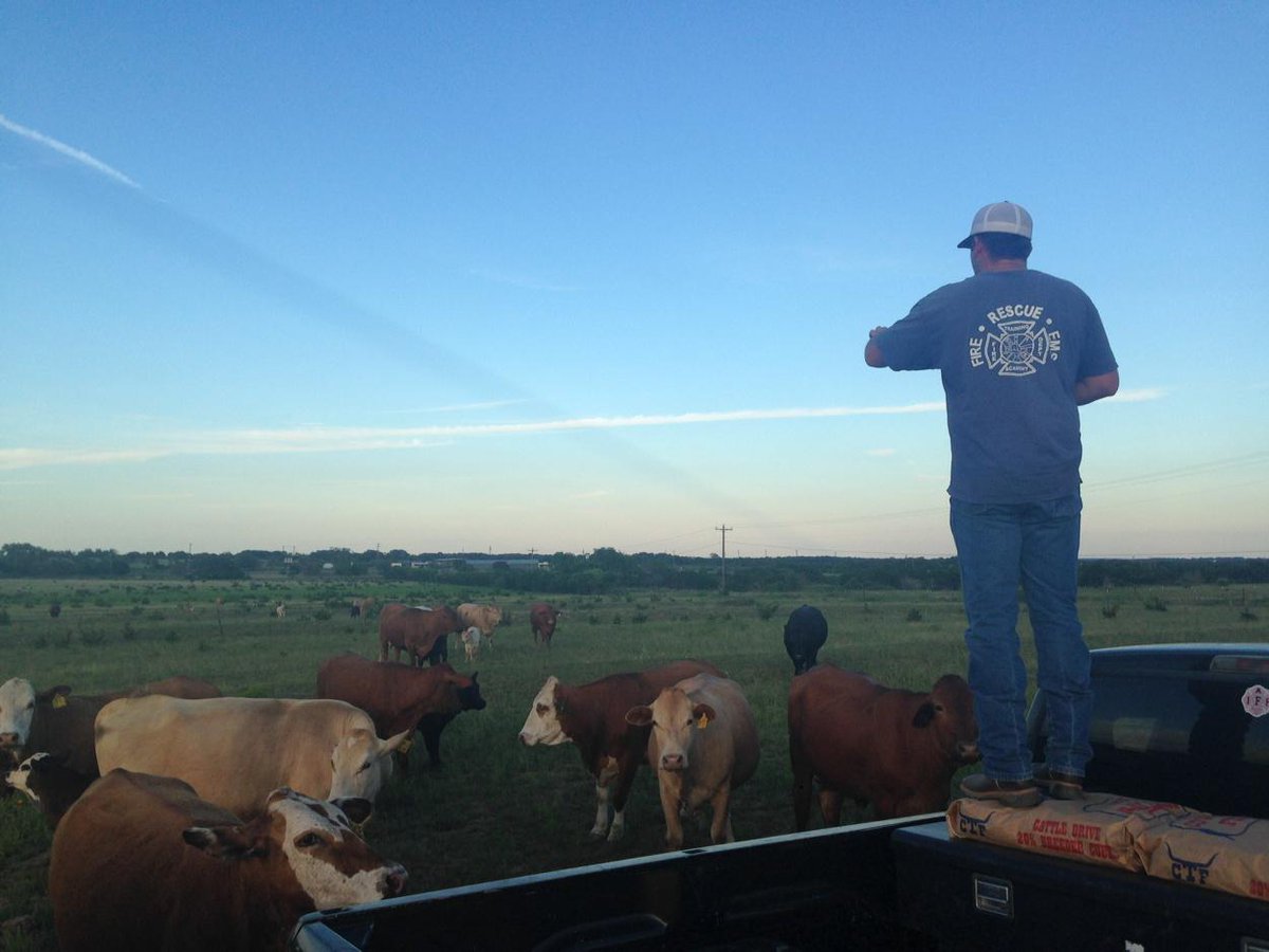 "Where's your baby, L6? This is a party. You're supposed to bring your kids." #ranchlife #marriage