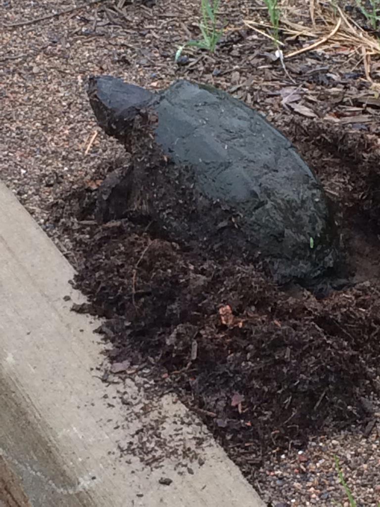 UWSummitCentre's tweet photo. Happy Friday from @UWSummitCentre! @envwaterloo students get front row seat to #circleoflife #wsce http://t.co/s7oXnGxYzv