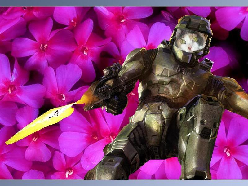 Pat_Snagged's tweet photo. Pulling out an old school photoshop from Grade 7 2006/2007! #cats #photoshop #halo #masterchief #funny http://t.co/NzY4xM16LH