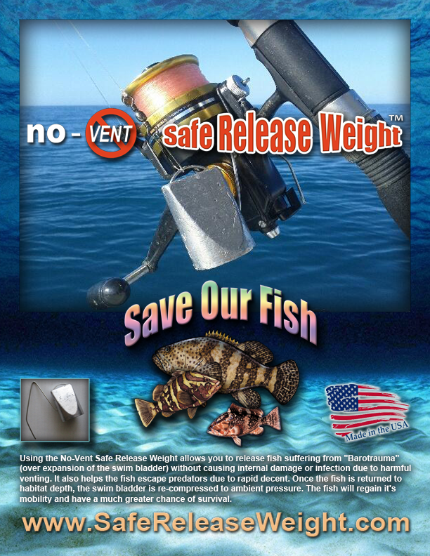 SafeRelease's tweet image. SAVE OUR FISH! @ChevyFIFRTV Safe Release Weight #fishreleaseweight #angler #sportfishing #fishing #grouper #tackle