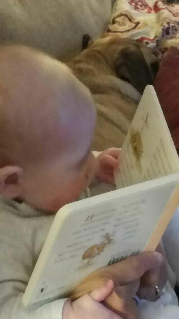 Sandman42nyy's tweet photo. Close reader #edumicated http://t.co/DbwvjtIpOe
