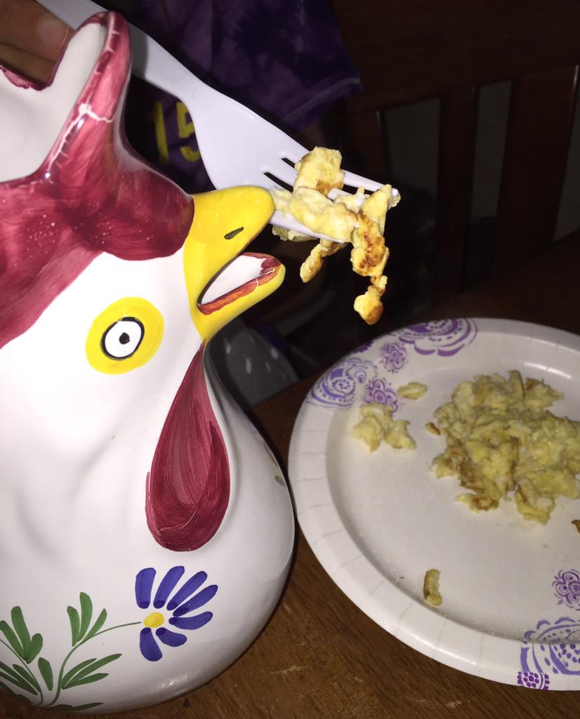 HectortheHen's tweet photo. hope this was not one of my children http://t.co/7NodqwBk8r