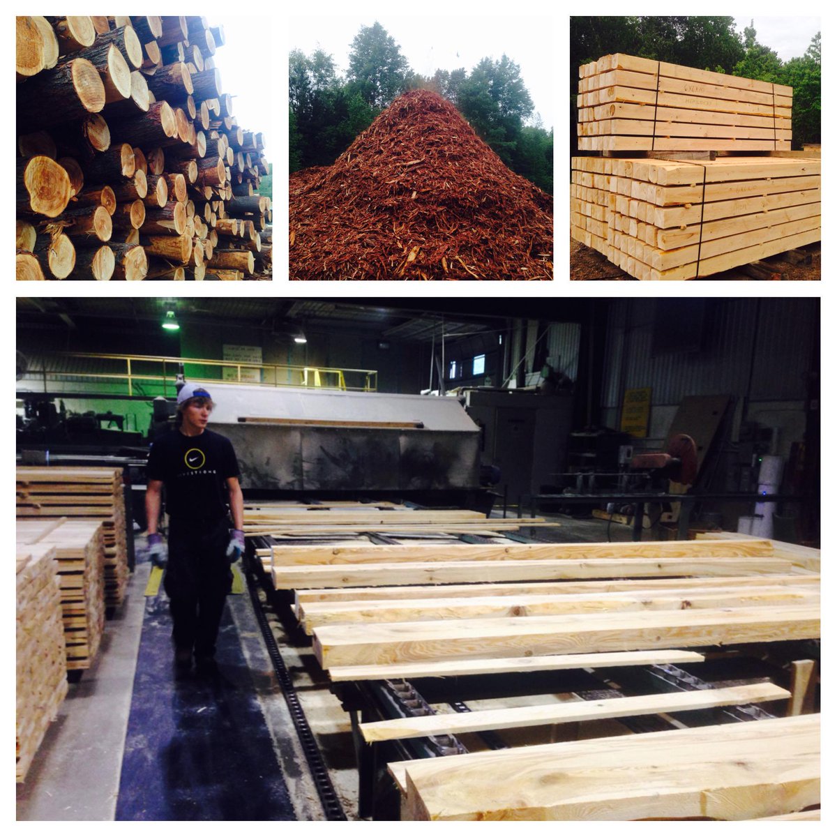 Eastern Hemlock forest products coming off the line. We do more than just saw hardwoods!