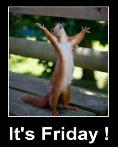 PVT_UK's tweet photo. #HappyFriday http://t.co/fRaMIzVGiU