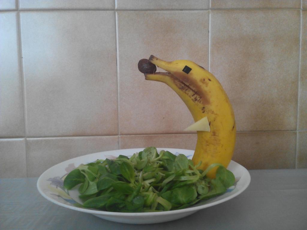 JosebaVela's tweet photo. Esta es mi imagen creativa, un delfín: 
@egapegaztegela   #ttsJosebaVela http://t.co/D4JYl5f9EJ