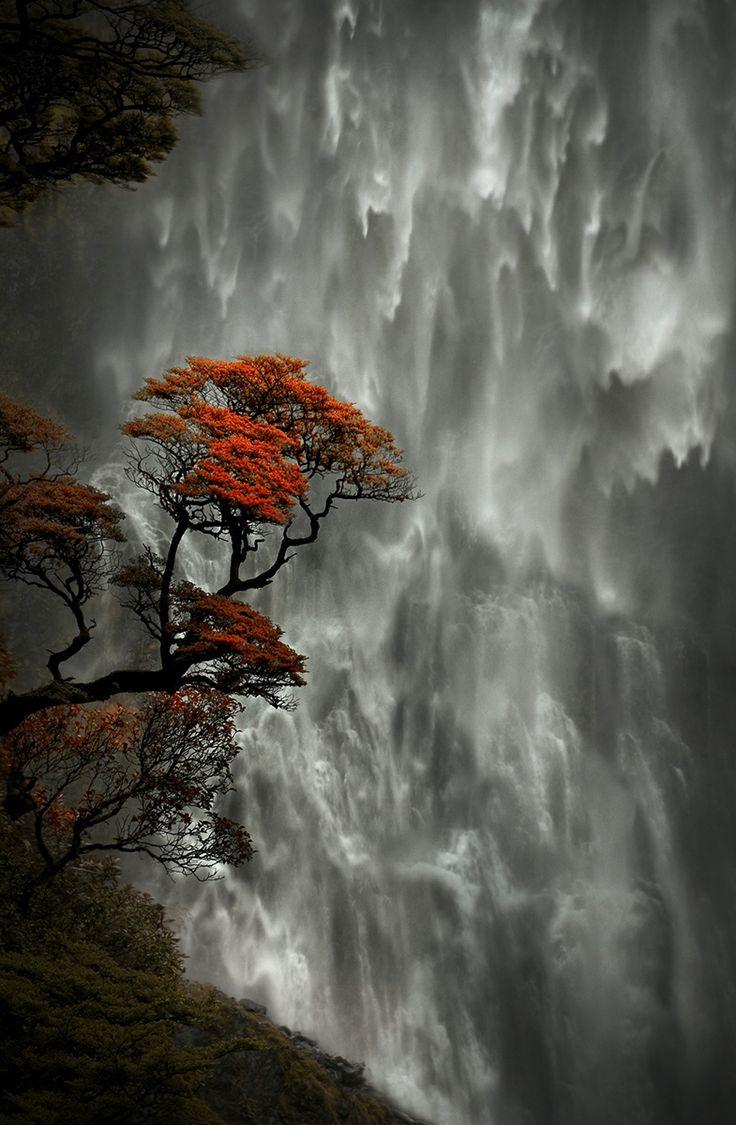 EasyLiving1949's tweet photo. “@Nounahart: I'm falling into you 🎤

Devil’s Punchbowl #Falls
New Zealand http://t.co/SVws3YKTuG”

Falling Water