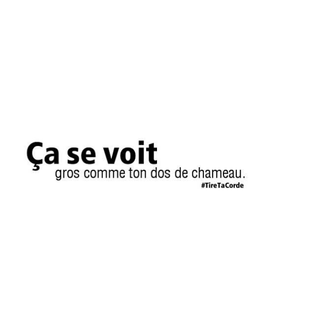 tire_tacorde's tweet photo. Ca se voit gros comme ton dos de chameau. #TireTaCorde #DetourneUnProverbe #citation #punchline #Carlton #FinduLycee http://t.co/jGY77IjJVq
