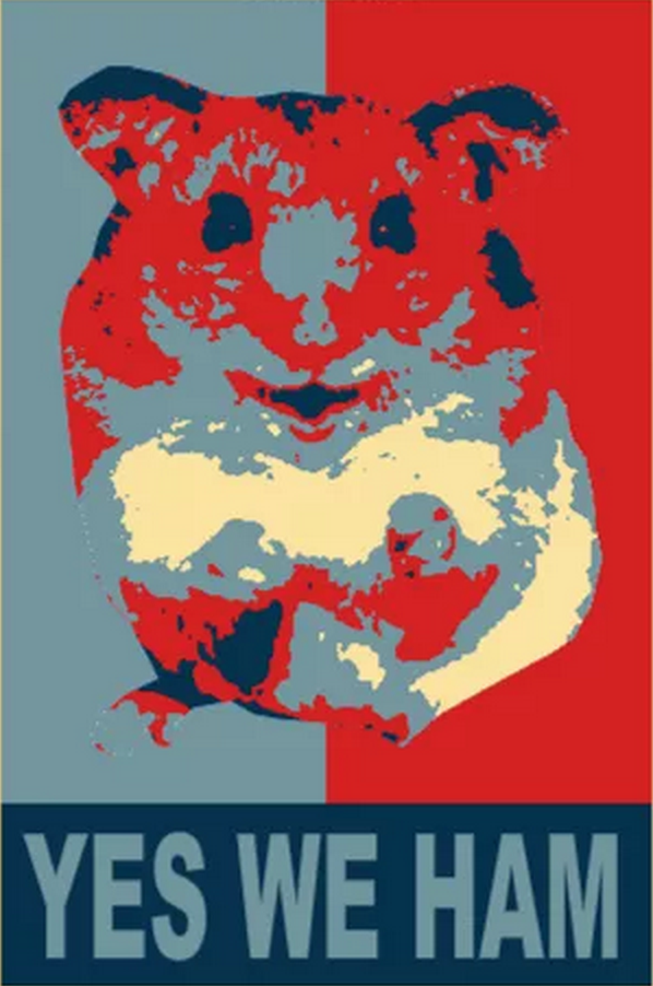 danielleadams89's tweet photo. @GingerModine What @BrookeJibb means to say is...#HamsterKate http://t.co/n9QIHLDa38