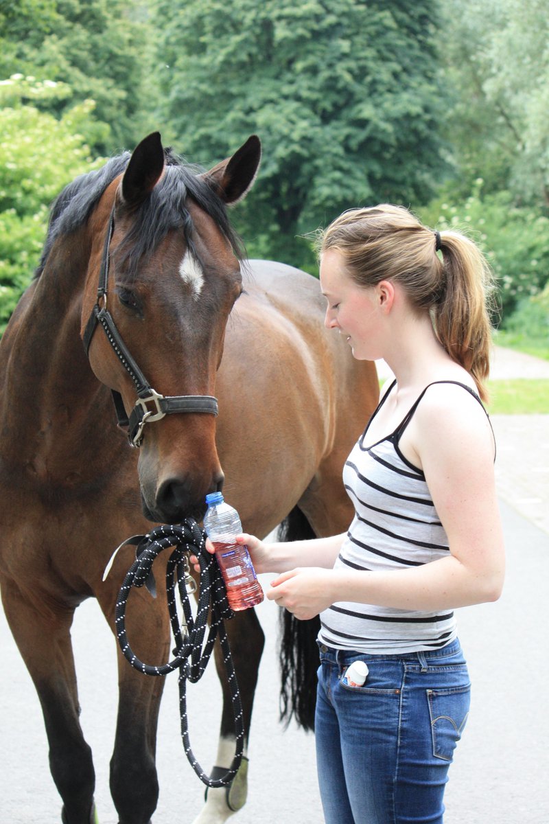 Annelynn_K's tweet photo. Ik geniet samen met mijn lieve paard van #KCGO tijdens een heerlijke wandeling door het bos! ✨ #loveit #strawberry http://t.co/WnC2S4xO7q