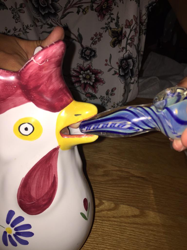 HectortheHen's tweet photo. Just livin large...high on life http://t.co/vtQWYi2T9d