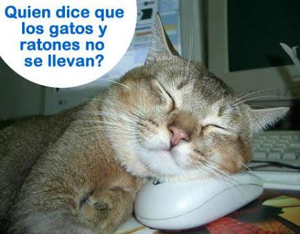 InexplicableHB's tweet photo. Imagen nueva lo inexplicable jajaja😂👏👏👏 http://t.co/bOp3GeAYnN