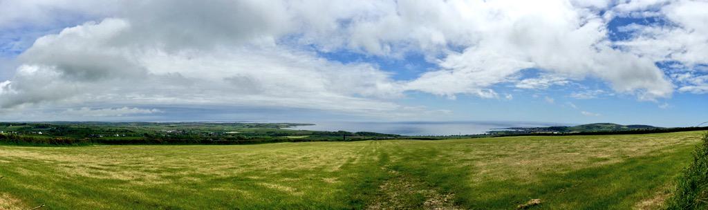 Nicky✨ tweet media