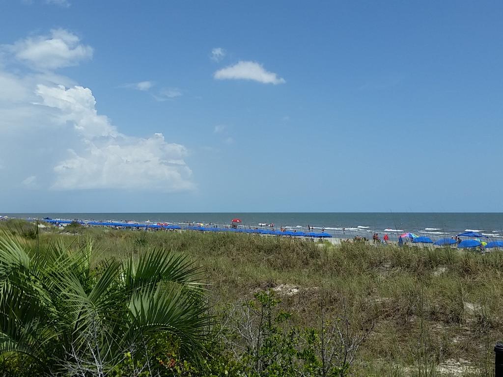 rickp8439's tweet photo. Hello Hilton Head ! http://t.co/HAfY857kLj