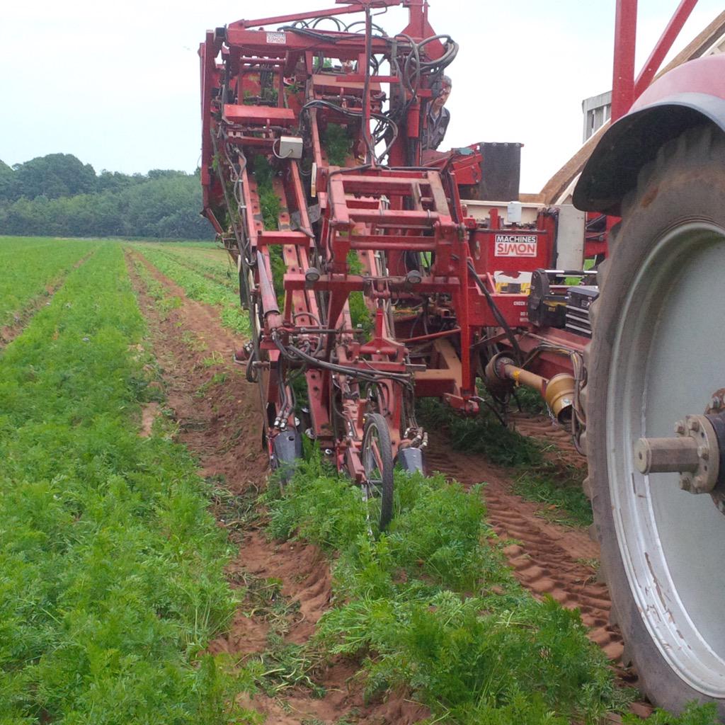 Richard Parry tweet media