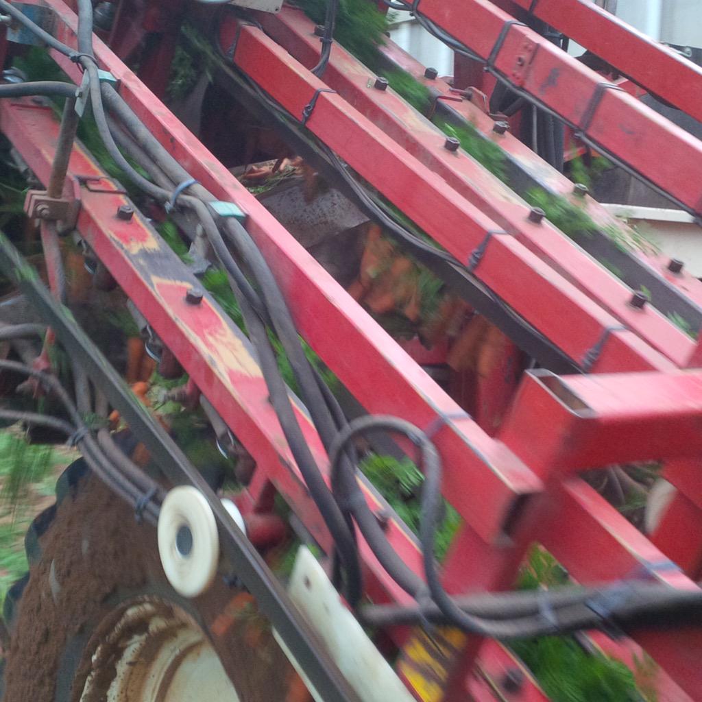 Richard Parry tweet media