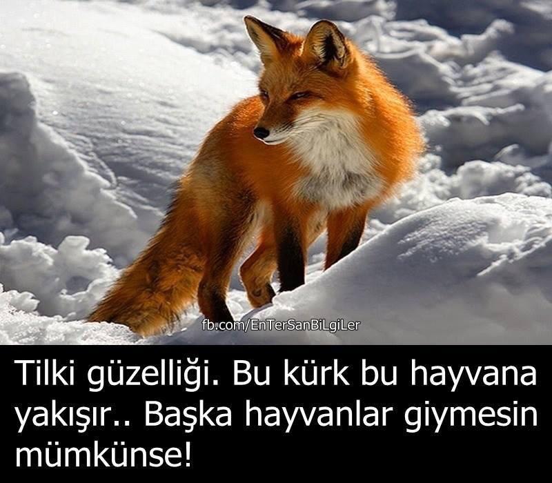 Ozunce's tweet photo. http://t.co/pBl3S9t9XR