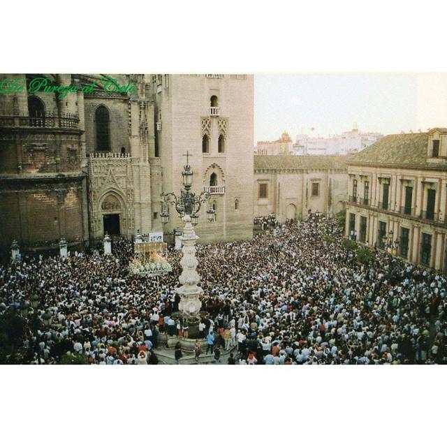 Triana de Esperanza tweet media