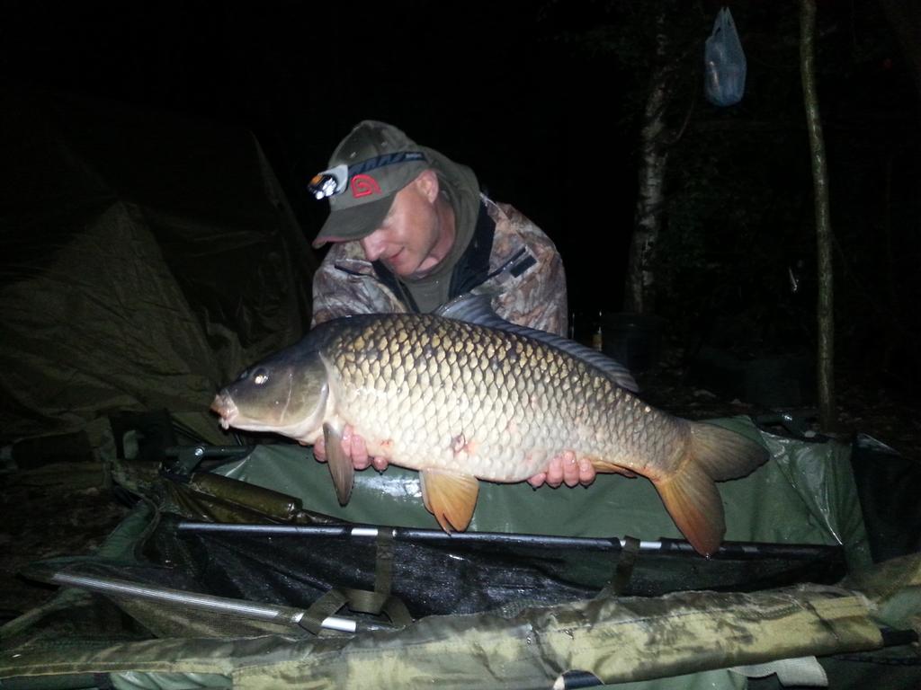 Just sime more I had this week