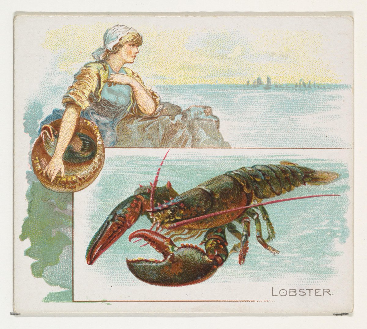 Did you know today is #NationalLobsterDay? Celebrate with this 1889 color lithograph: met.org/1TelJQp