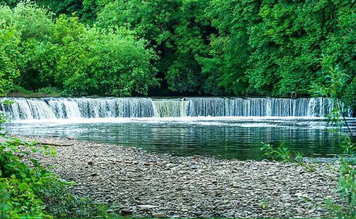 CollectFishing's tweet image. Great photography 👌🏼