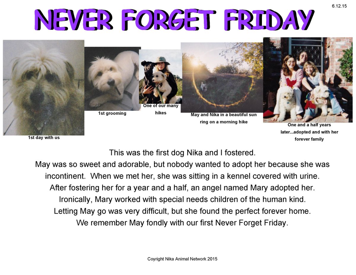 If you like Throwback Thursday, check out Never Forget Friday...
#nikaanimalnetwork #victoryoveradversity #nff