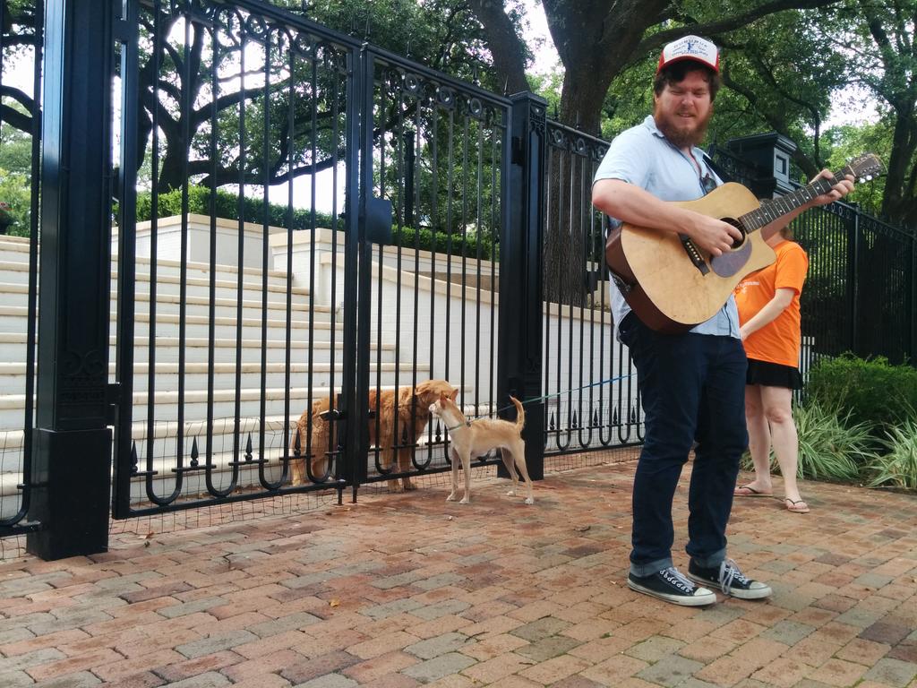 catsforclinton's tweet image. .@breakstrings throwing down for @TexasPancake because @GregAbbott_TX won't talk to us #peoplesveto