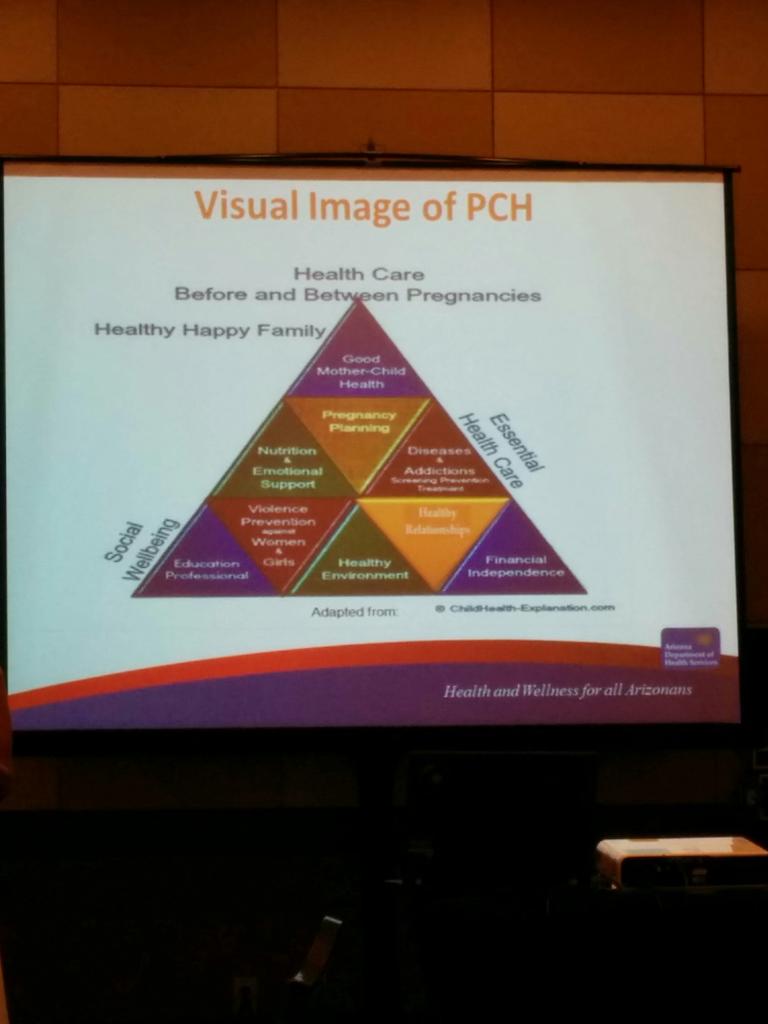 Escajeda_RD's tweet image. Next up, a session on #preconception and #interconception health with Susie Leo and Rhonda Nembhard. #AZAND