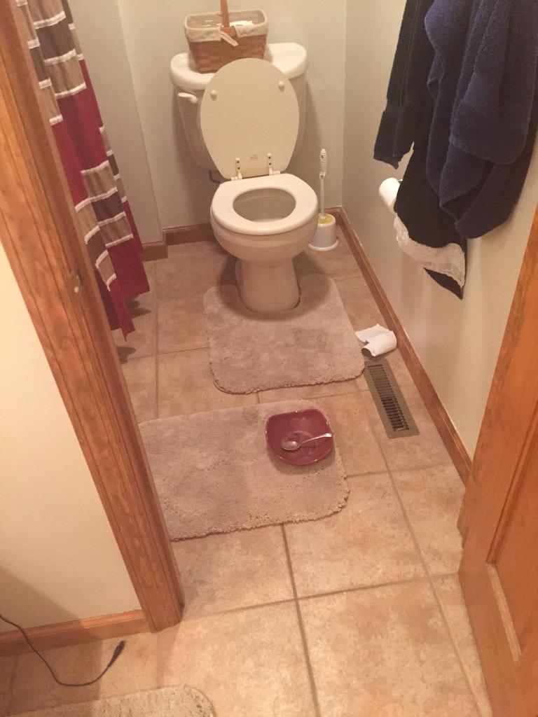 Maddie_Haas24's tweet image. What I have deal with... #goodoneAl