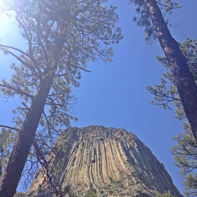 NatlParksPhotos's tweet photo. Devil's Tower. #devilstower #wyoming #nationalpark #nationalparks #nps #firstnationalmonument #takesyourbreathaway … http://t.co/rKnc1ov8ZI