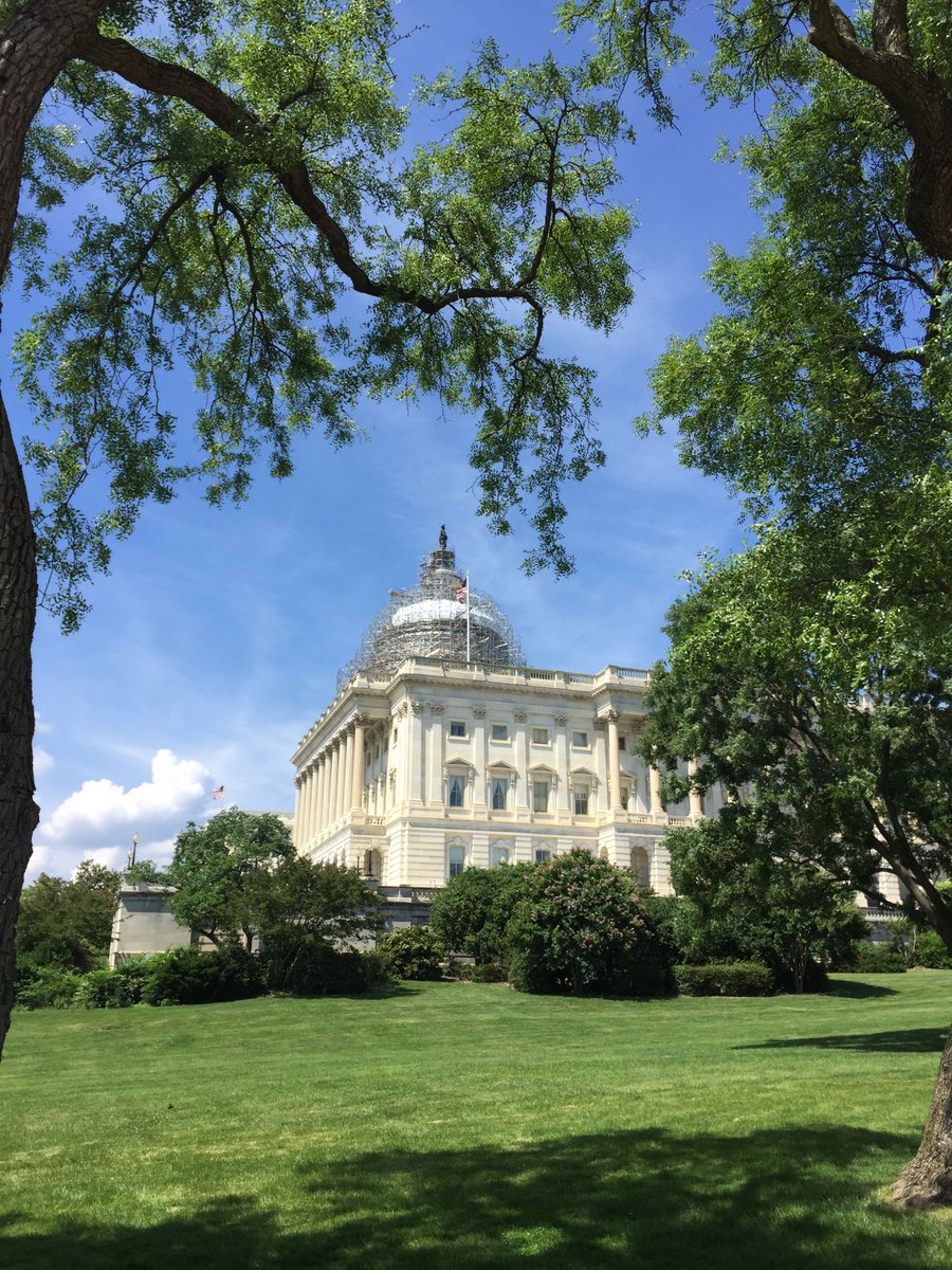 ParamusCathHS's tweet image. #ClassOf2018 conquers the Capitol ✌🏻️😎🌇#PCdoesDC #FroshFieldTrips