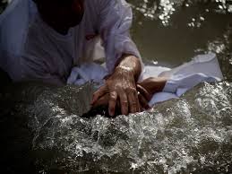 HighPlainsWaterfowl tweet media