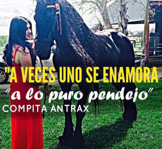 Rosineyi's tweet photo. A lo puro pendejo 😨 http://t.co/GMu9VYuWCo