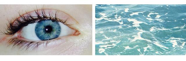 bodycompared's tweet image. 