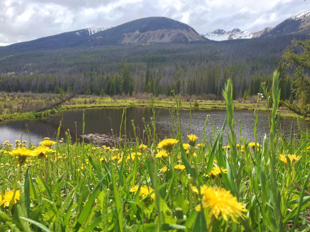 mango_maddy's tweet image. ... So I went 🌻💛🗻