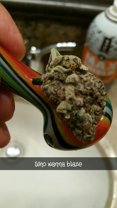 MrFabulous915's tweet photo. You wanna #blaze get at yo boy! #sherbzilla #sherbinski #justblaze #trees #puffpuffpass http://t.co/0AEZ1IZrG1