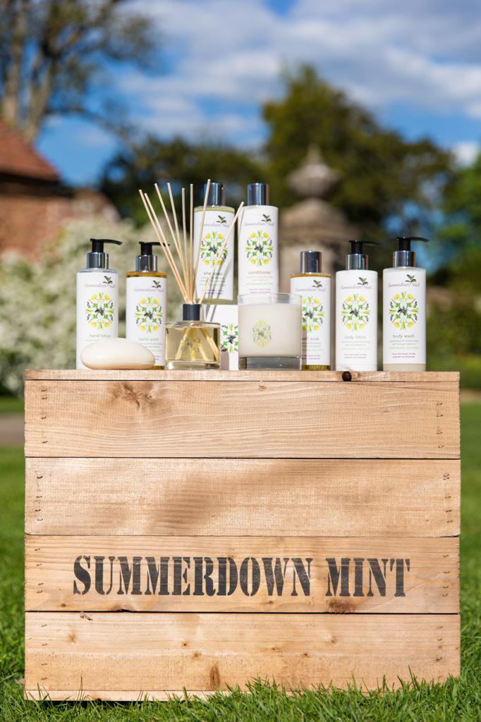 Happy #GlobalWellnessDay! Enjoy a cup  of @SummerdownMint iced mint tea after our wellness walk this afternoon.