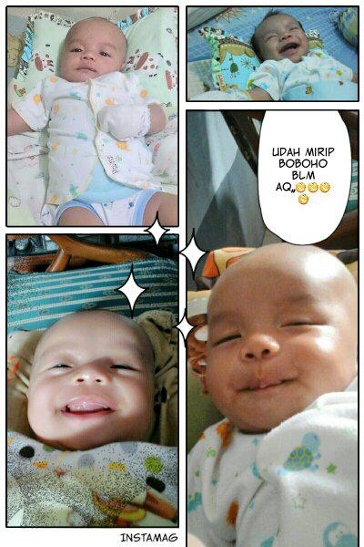 Mollydia aztari (@aztarimollydia) on Twitter photo 