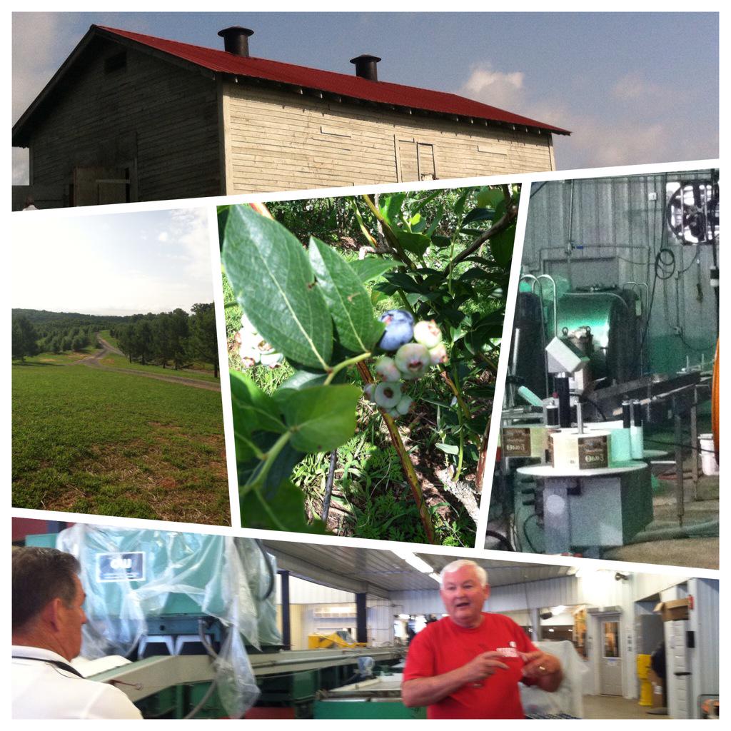 lucyadams's tweet photo. Farm tour @MercierOrchards, largest orchard in SE. Example of diversification in agriculture. #georgiafam2015 http://t.co/7i6p5I5YqC