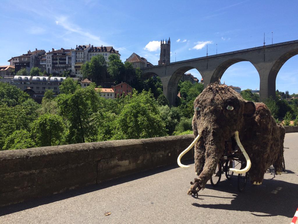 FRonline_events's tweet photo. Les 12heures de l'Auge, dans les rues de la Vielle Ville de #Fribourg. Magnifique ! http://t.co/hsJWjHLneE